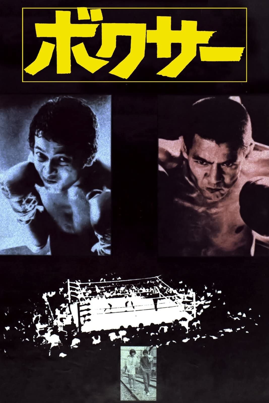 Boxer (1977)