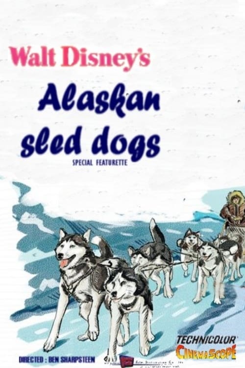 Alaskan Sled Dog