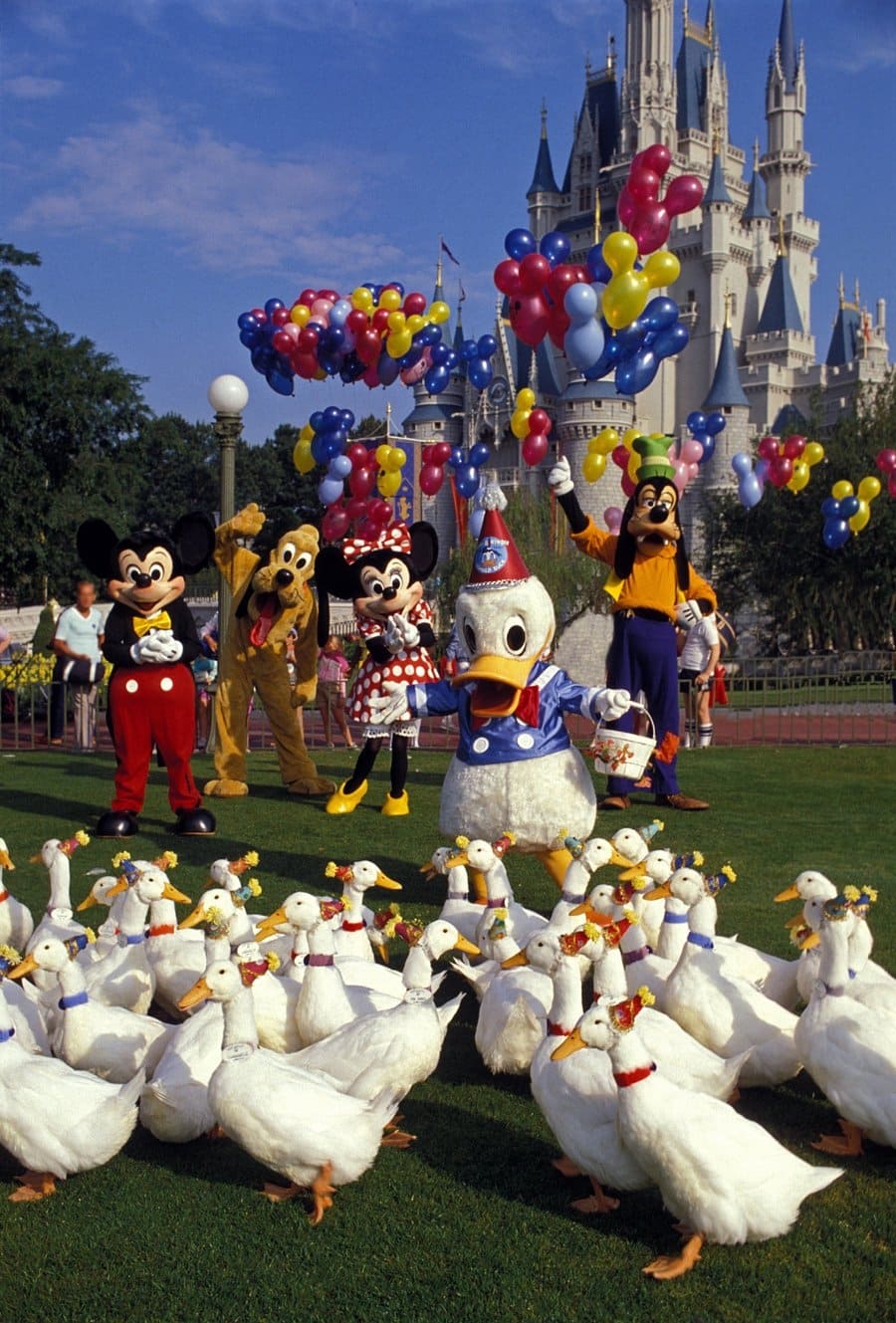Donald Duck's 50th Birthday