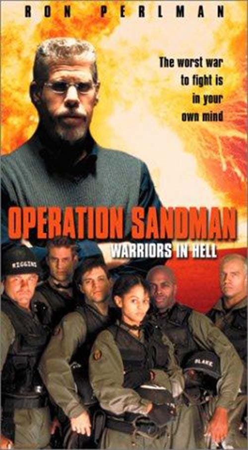 Operation Sandman