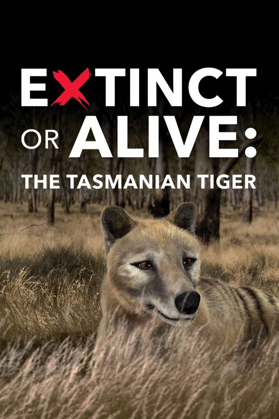 Extinct or Alive: Tasmanian Tiger