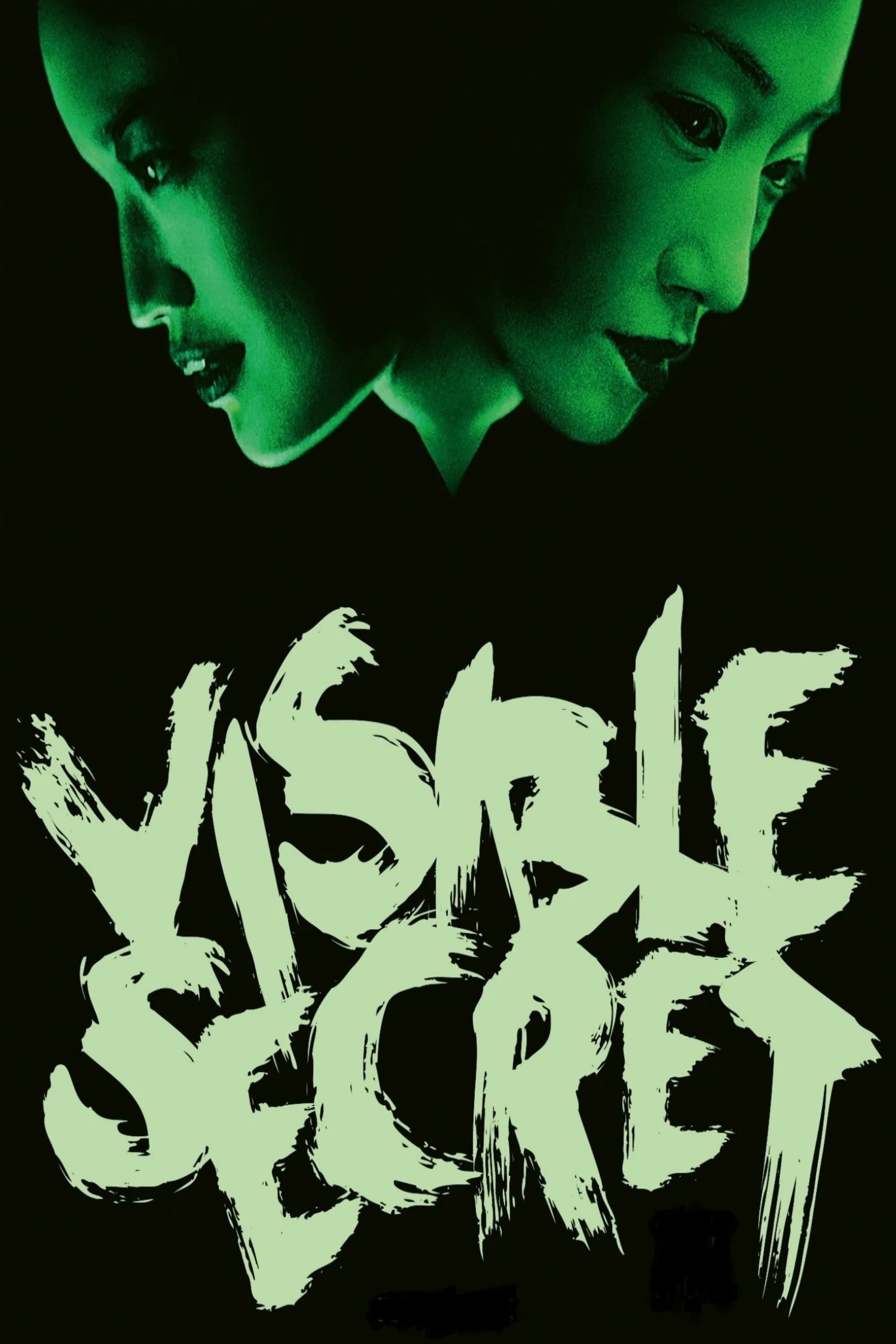 Visible Secret (2001)