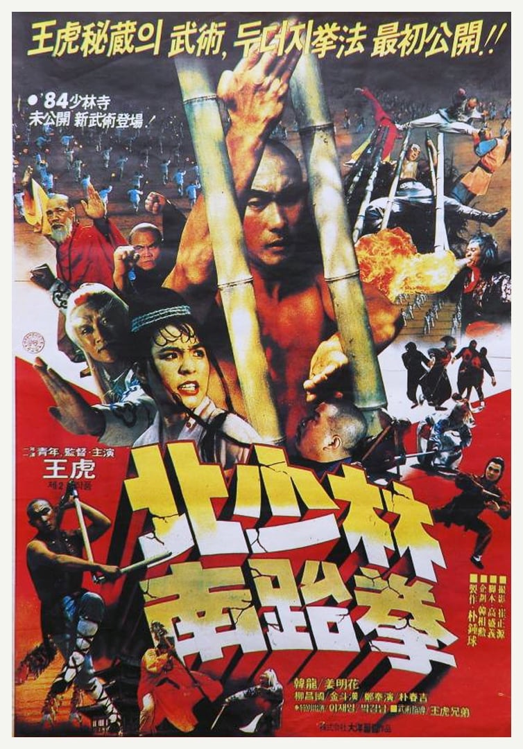 North Shaolin South Taekwon (1984)