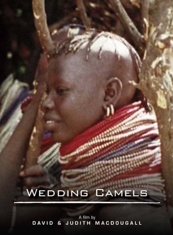 The Wedding Camels