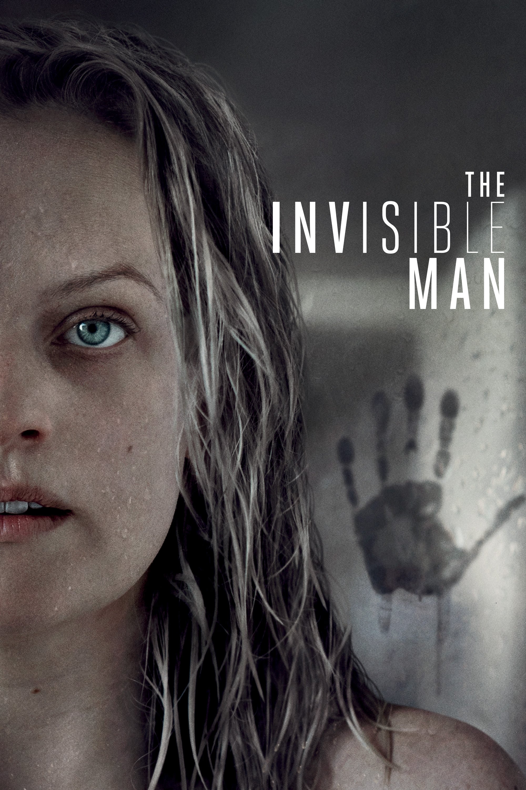 O Homem Invisível (2020)