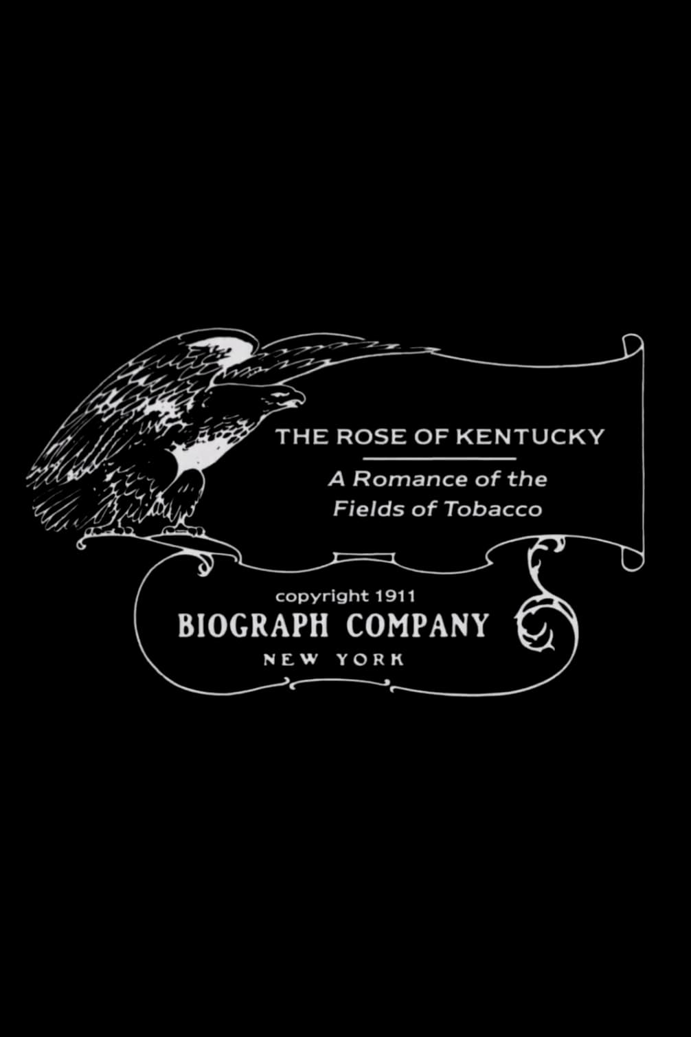 The Rose of Kentucky
