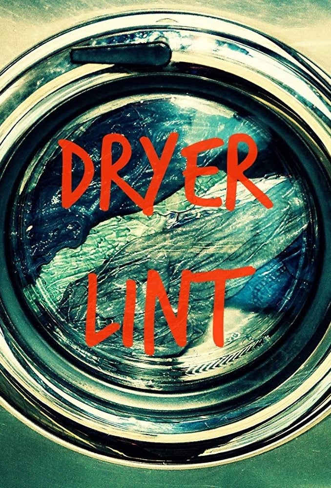 Dryer Lint