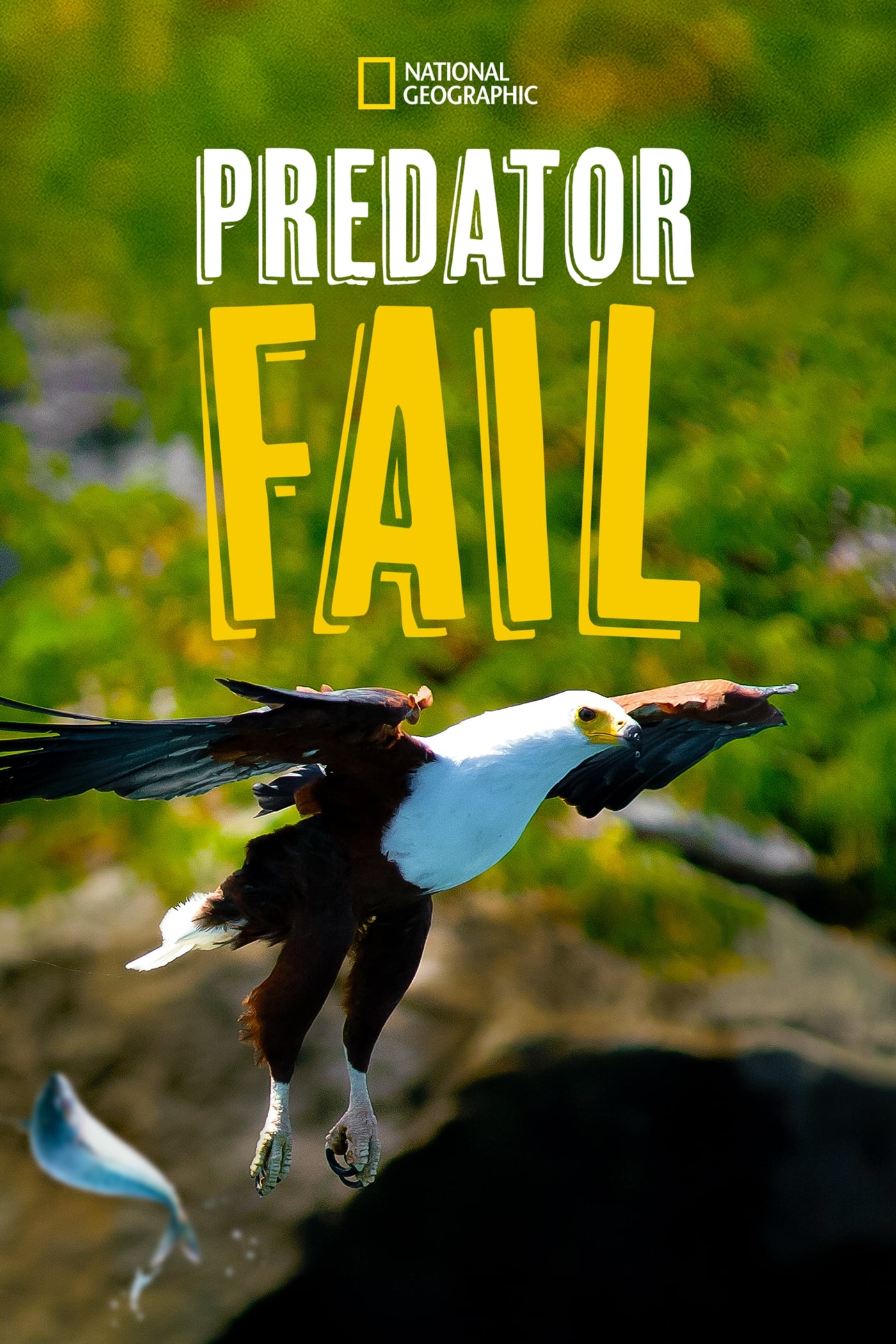Predator Fail
