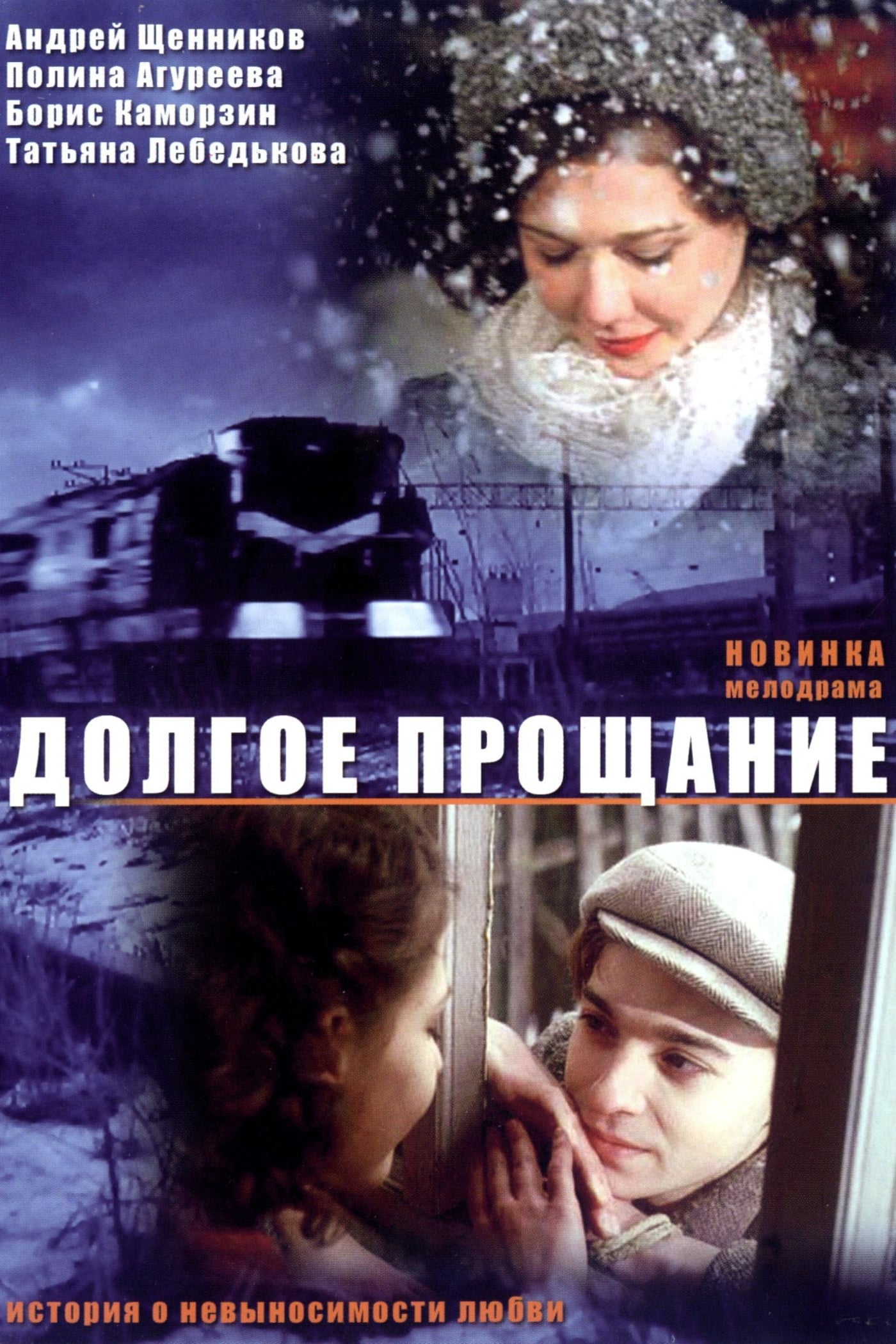 The Long Goodbye (2004)