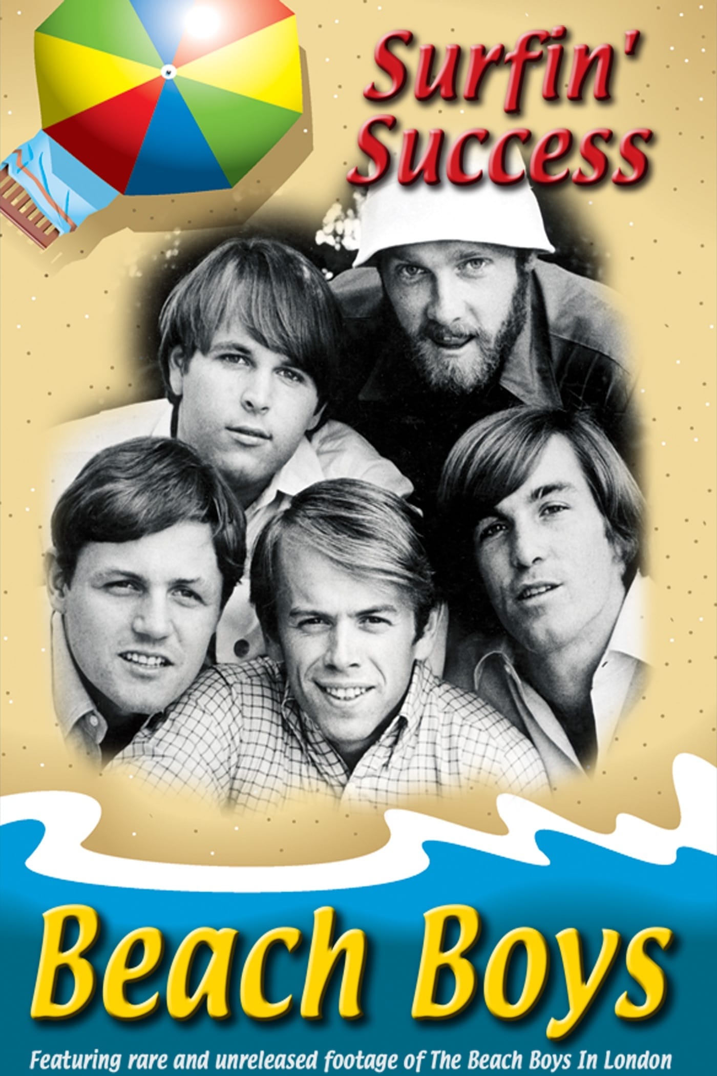 Beach Boys: Surfin' Success (2008)