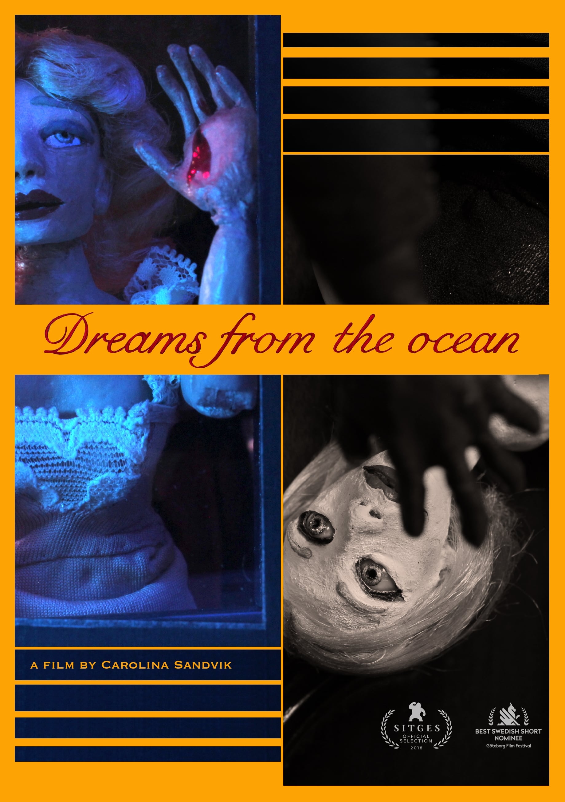 Dreams from the ocean