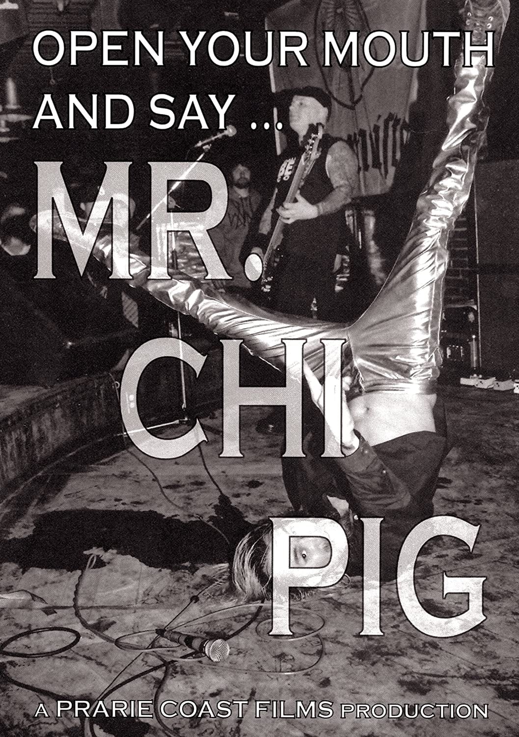Open Your Mouth and Say... Mr. Chi Pig