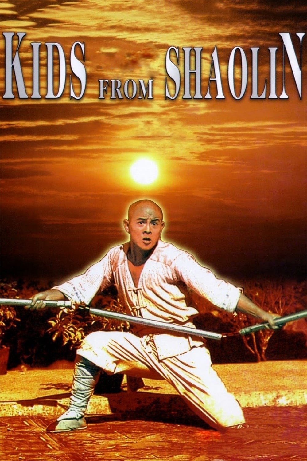 Les héritiers de Shaolin