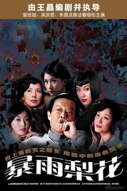 暴雨梨花 (2006)