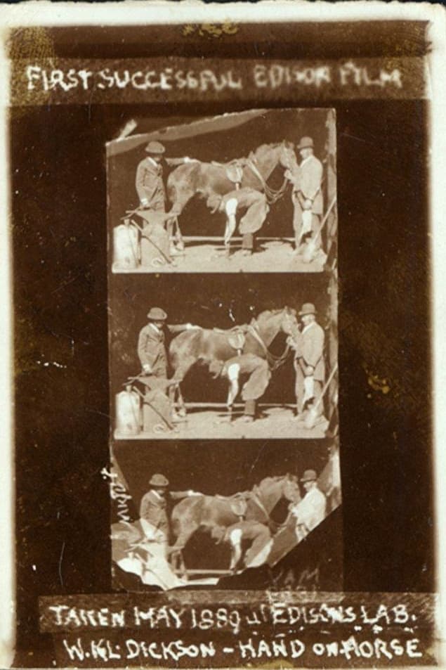 Horse Shoeing (1893)