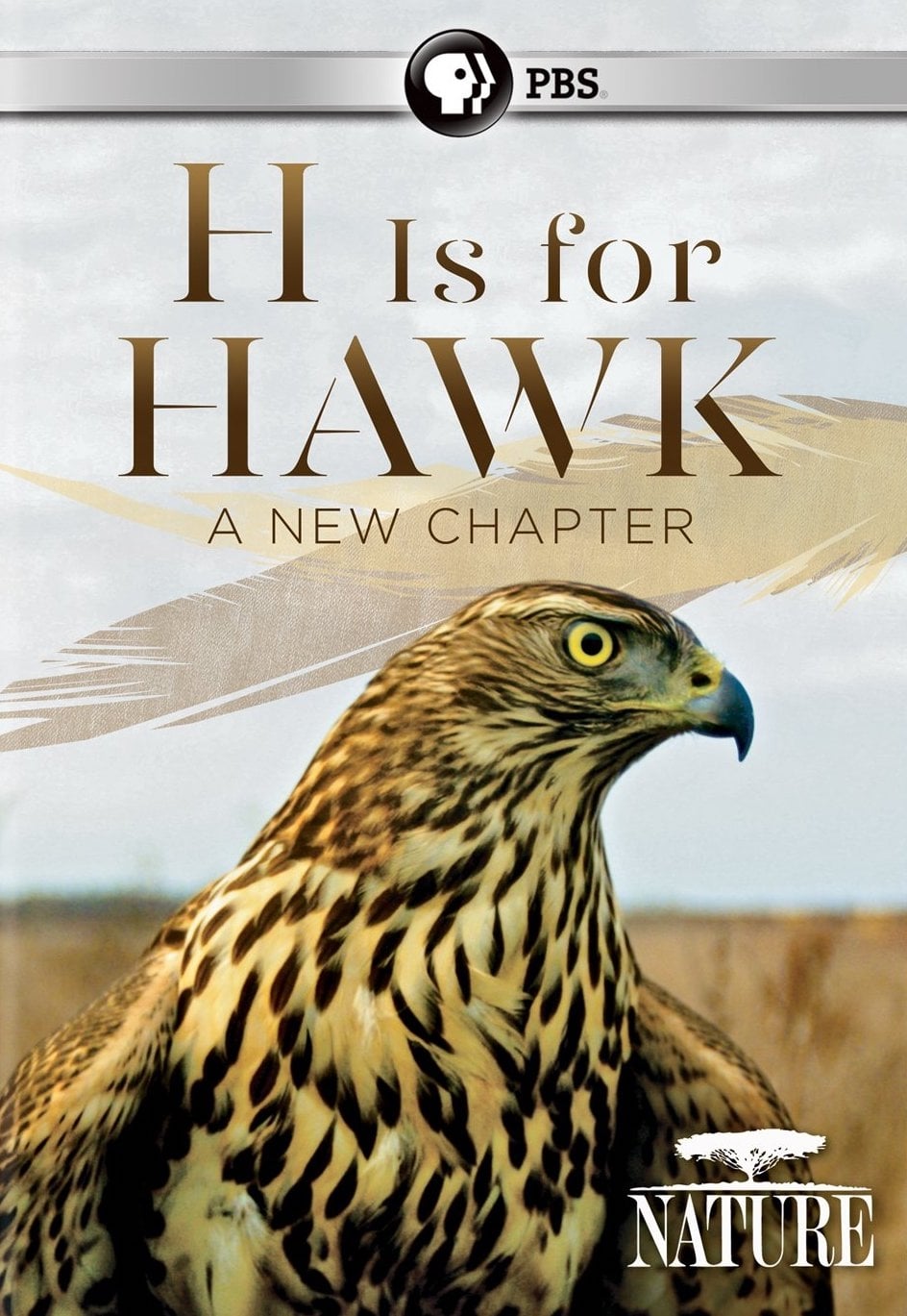 H is for Hawk: A New Chapter