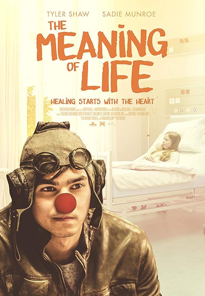 The Meaning Of Life (2019)