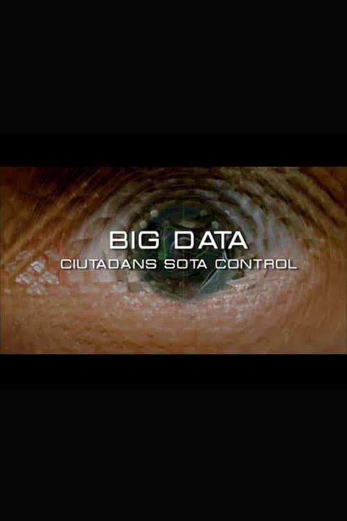 Big Data. Ciudadanos bajo control