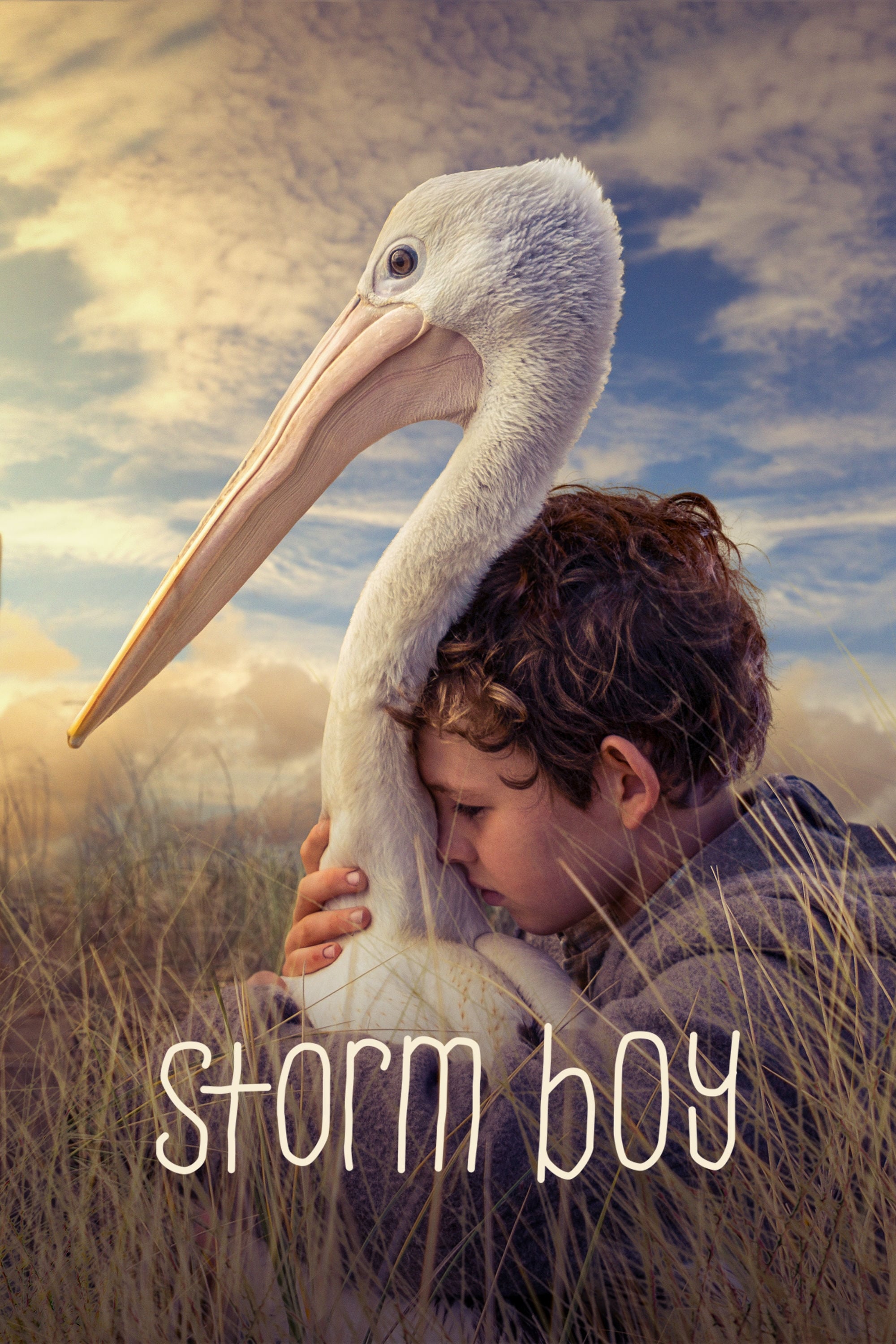 Storm Boy