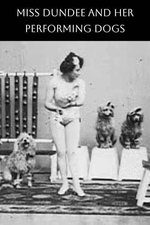 Miss Dundee and Her Performing Dogs