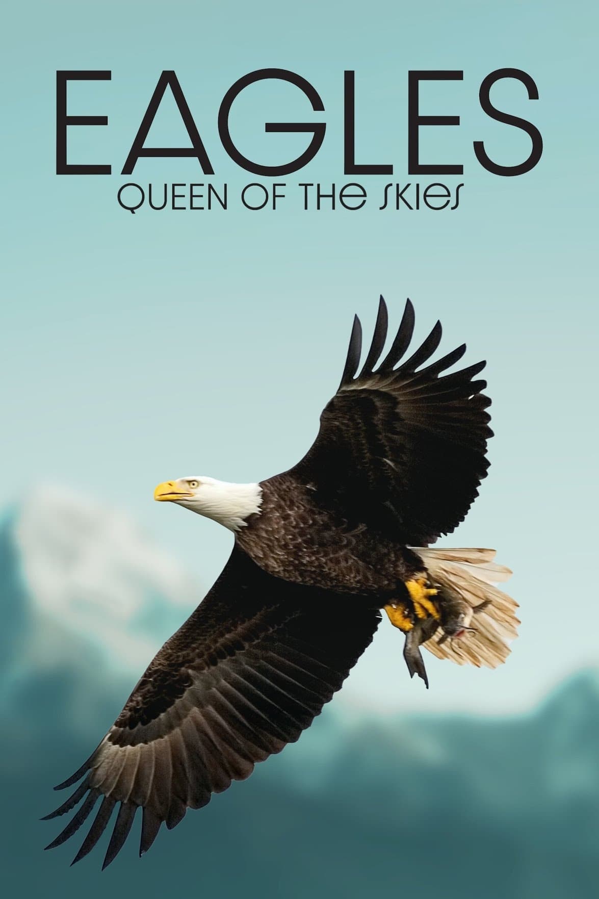 Eagle - Queen of The Skies
