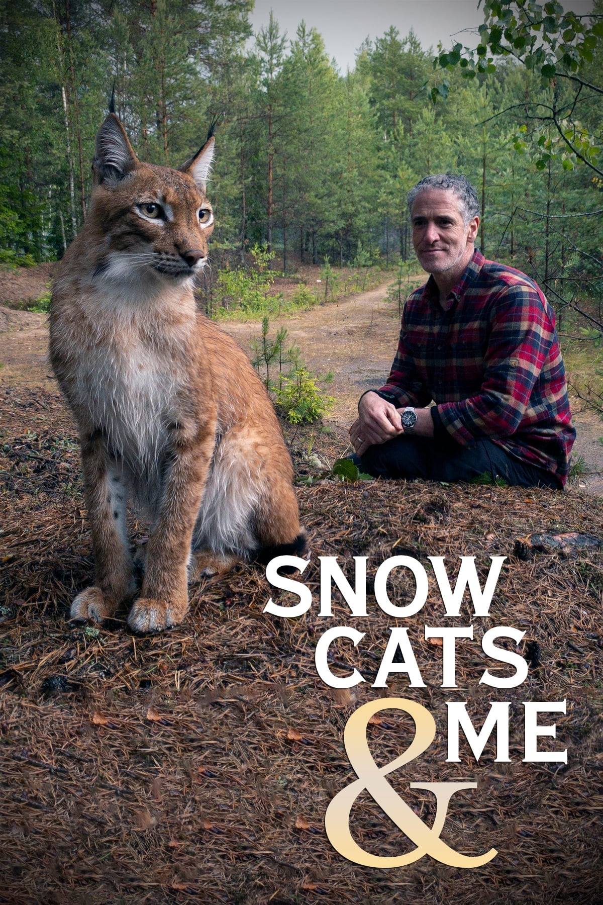 Snow Cats and Me