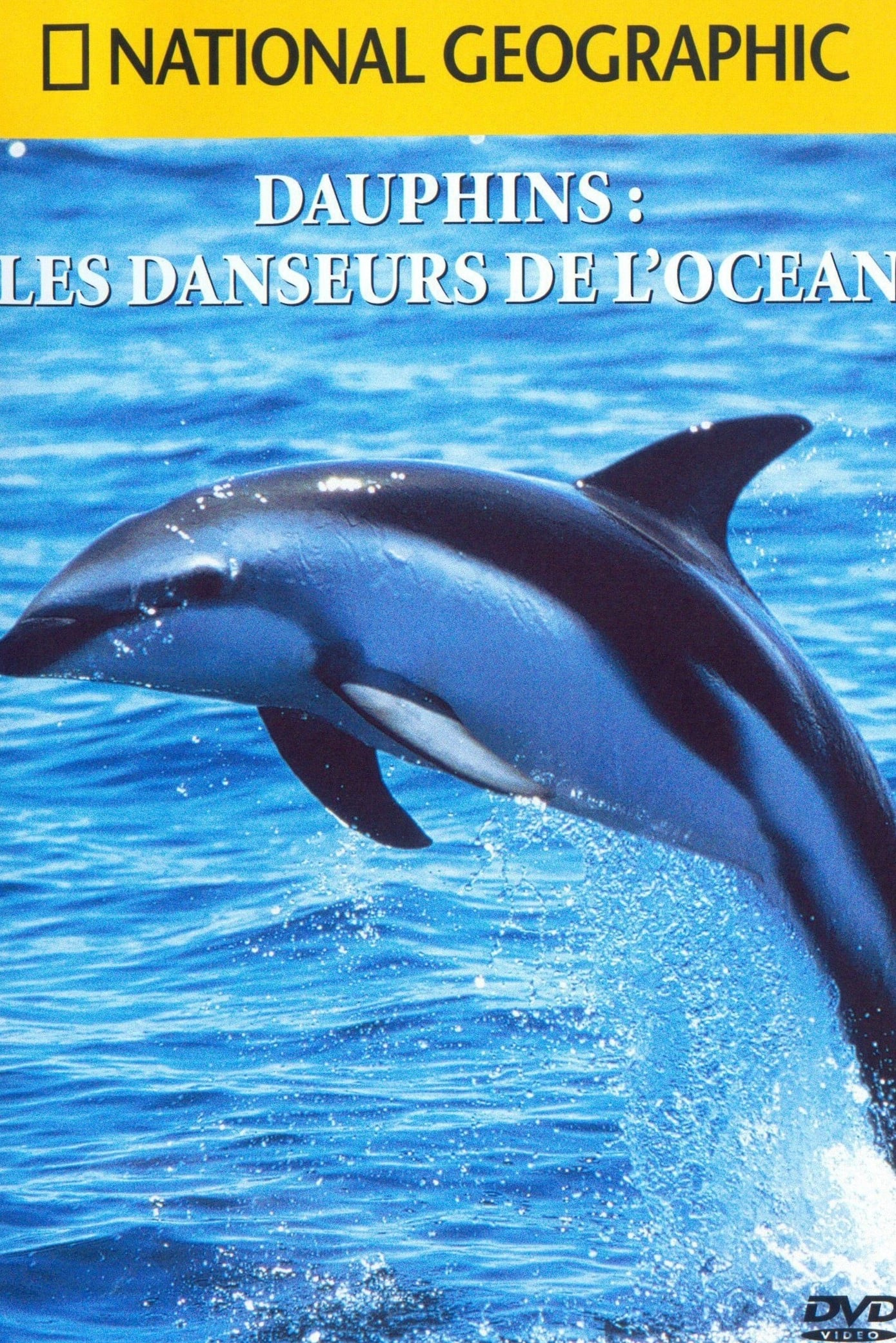 National Geographic : Dauphins, les danseurs de l'océan