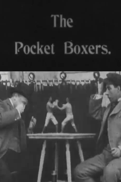Pocket Boxers