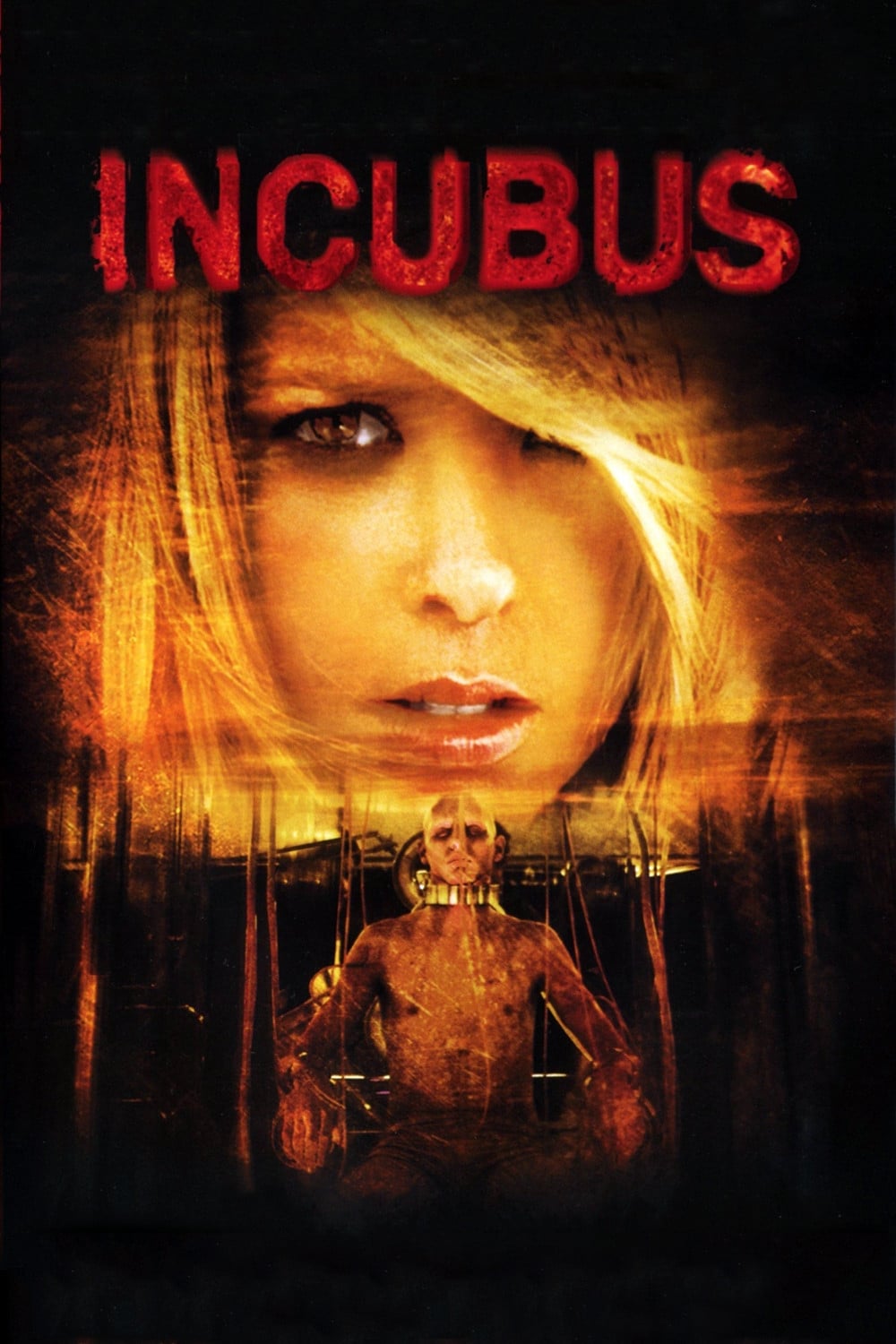 Incubus - El experimento (2006)