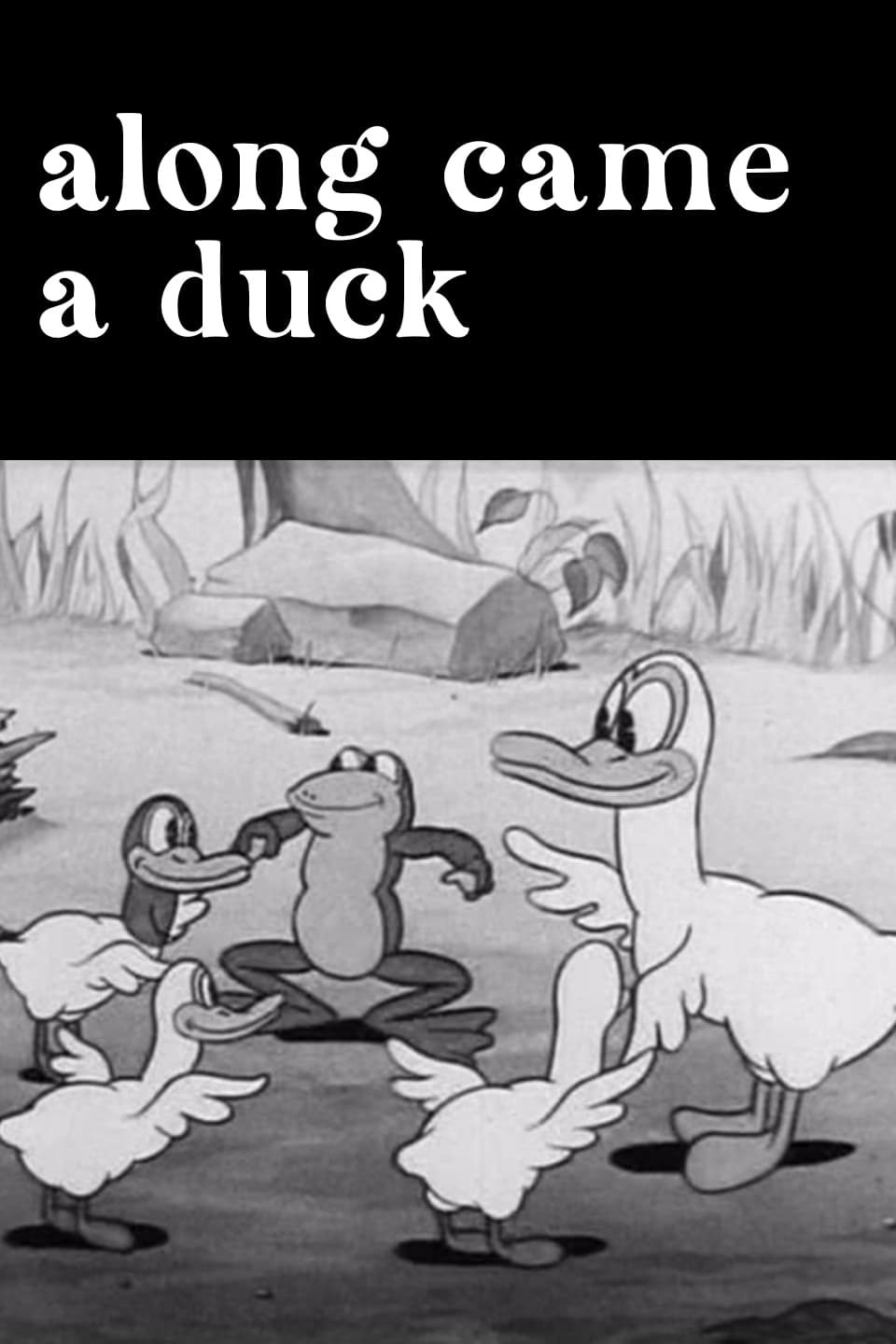 Along Came a Duck