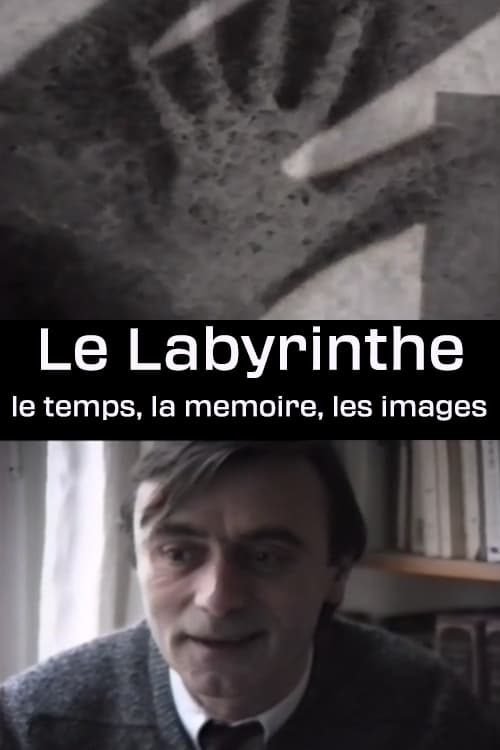 Le Labyrinthe - le temps, la memoire, les images