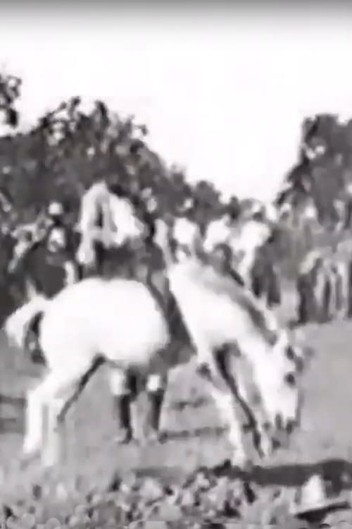 Cavalier sur un cheval rétif (1896)