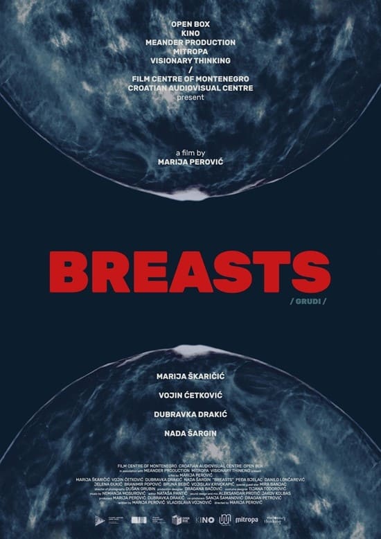 Breasts (2019)
