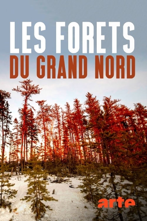Les forêts du Grand Nord