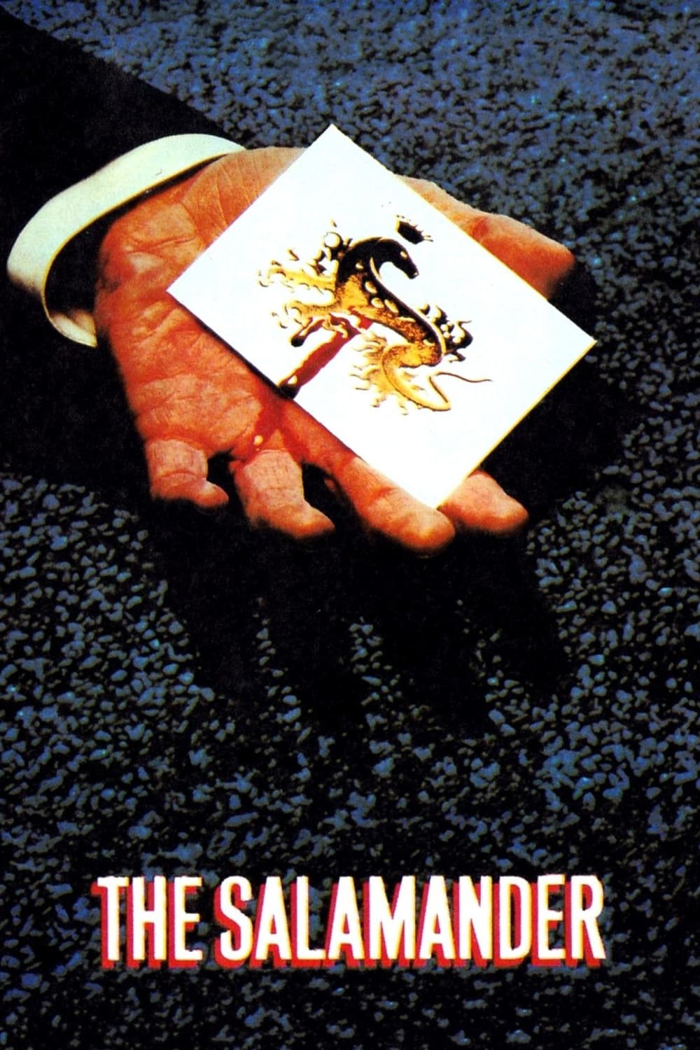 Kennwort Salamander (1981)