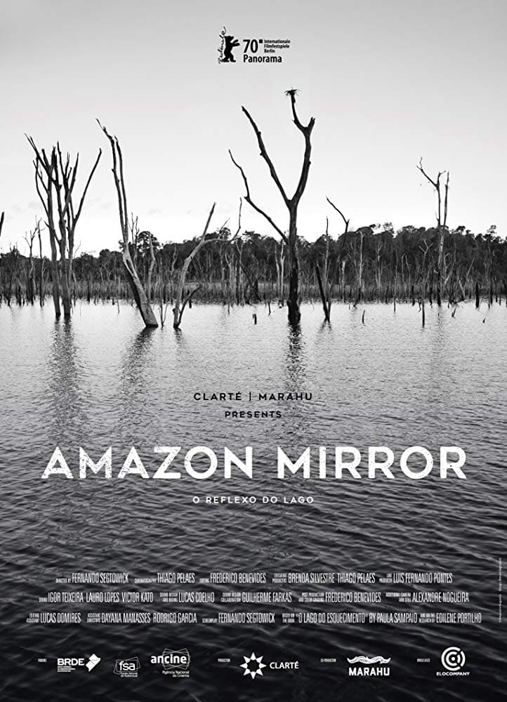 Amazon Mirror