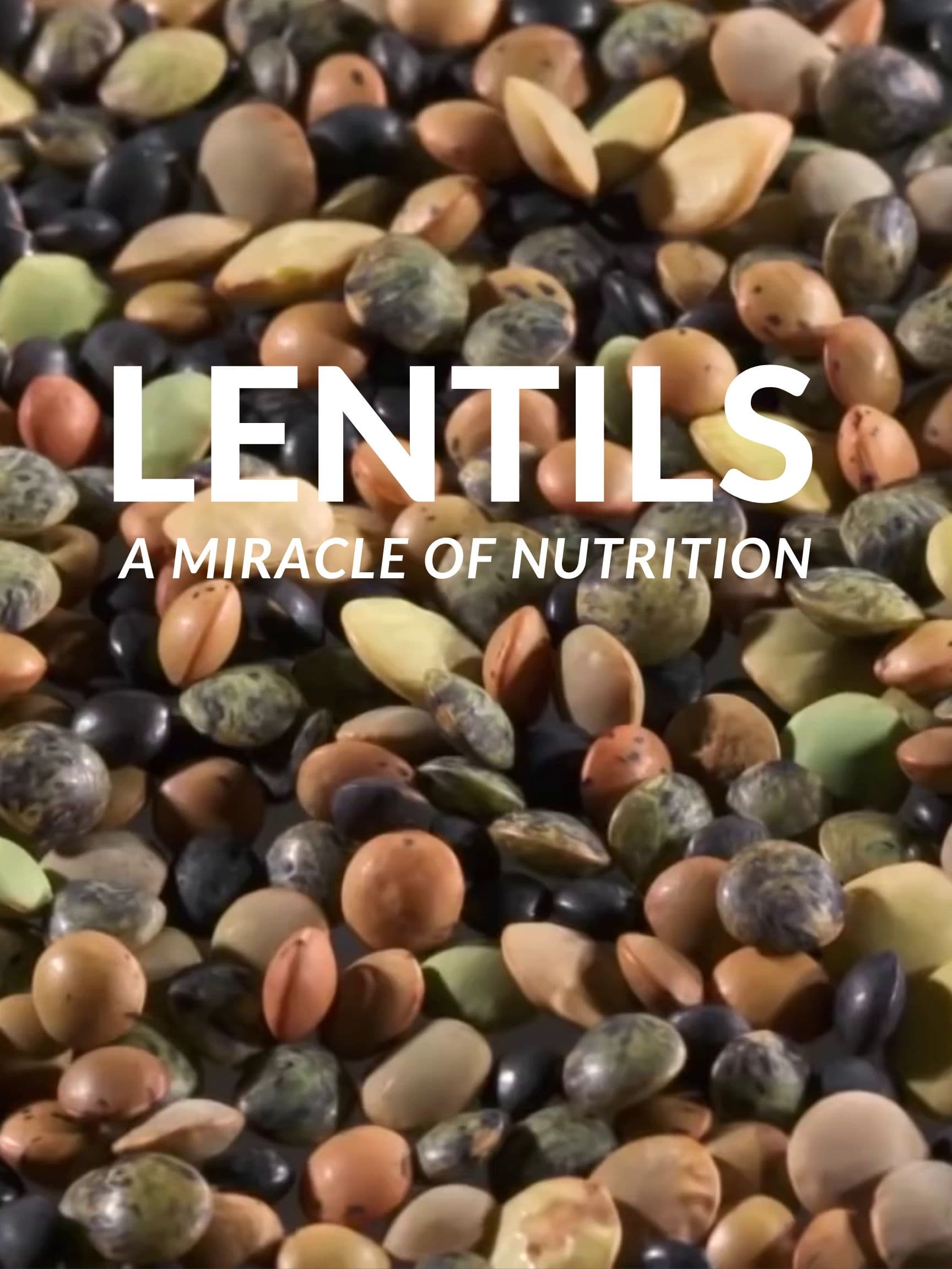 Lentils: A Miracle Of Nutrition