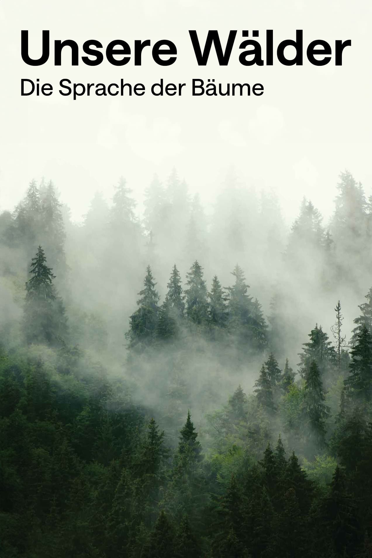 Unsere Wälder: Die Sprache der Bäume