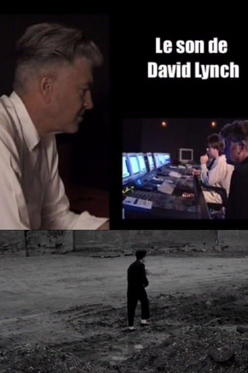 Le son de Lynch (2007)