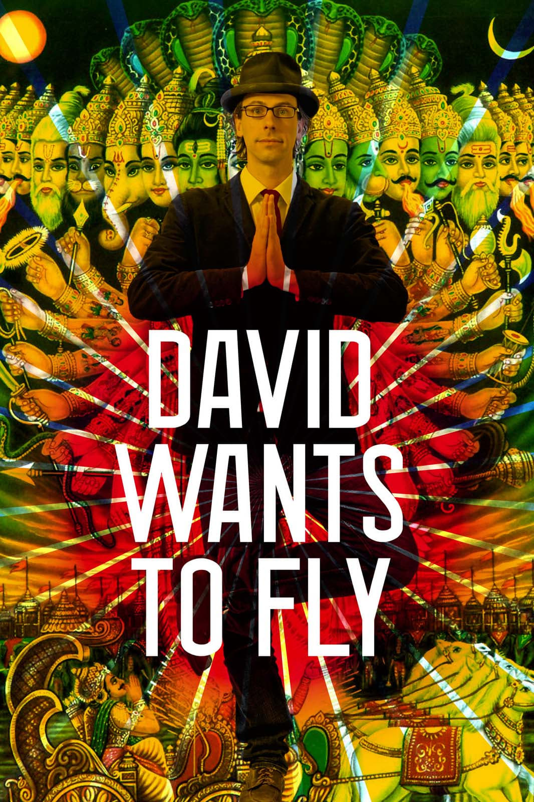 David Wants to Fly - Ein yogisches Abenteuer (2010)