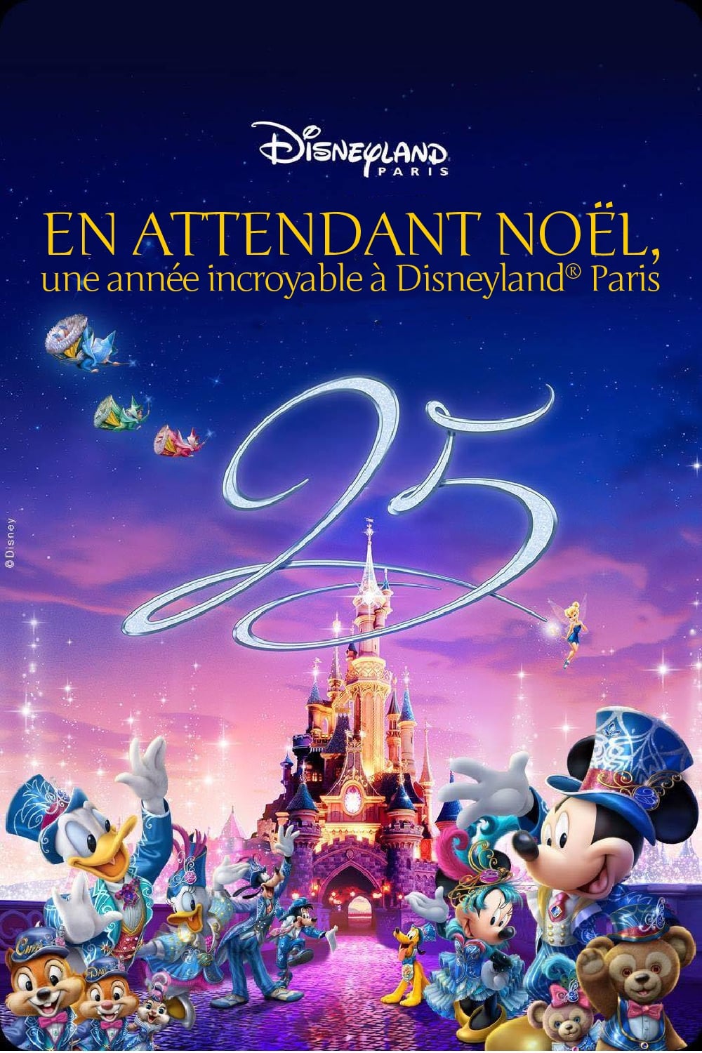 En attendant Noël, une année incroyable à Disneyland Paris