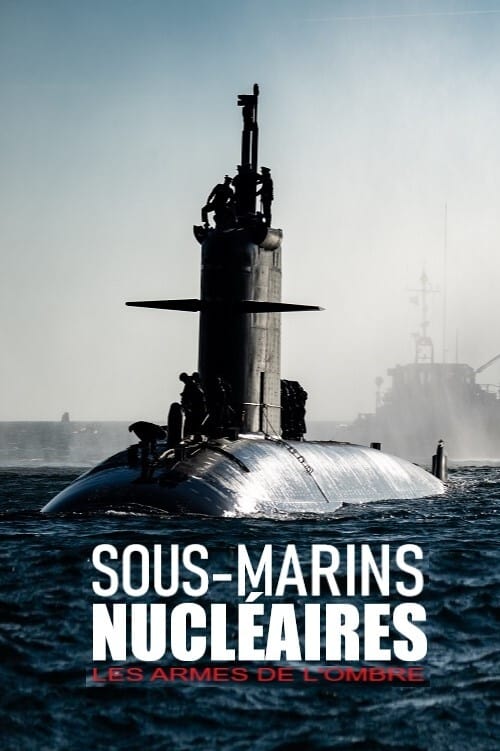 Sous-marins nucléaires  : Les armes de l'ombre