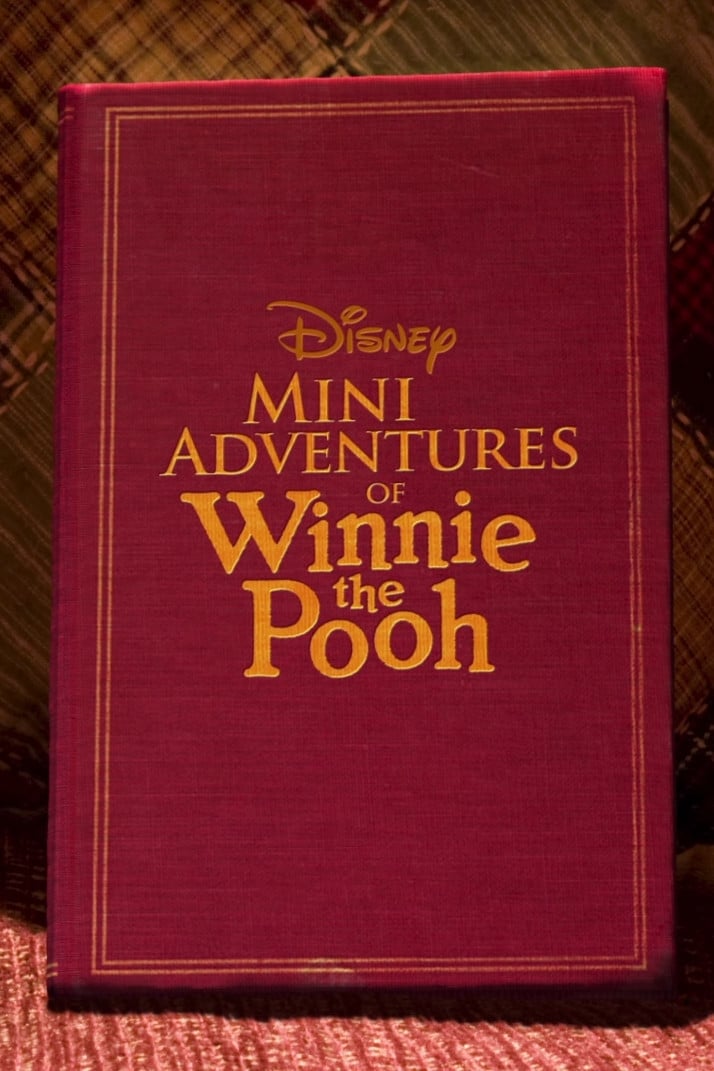 Mini Adventures of Winnie the Pooh (2011)
