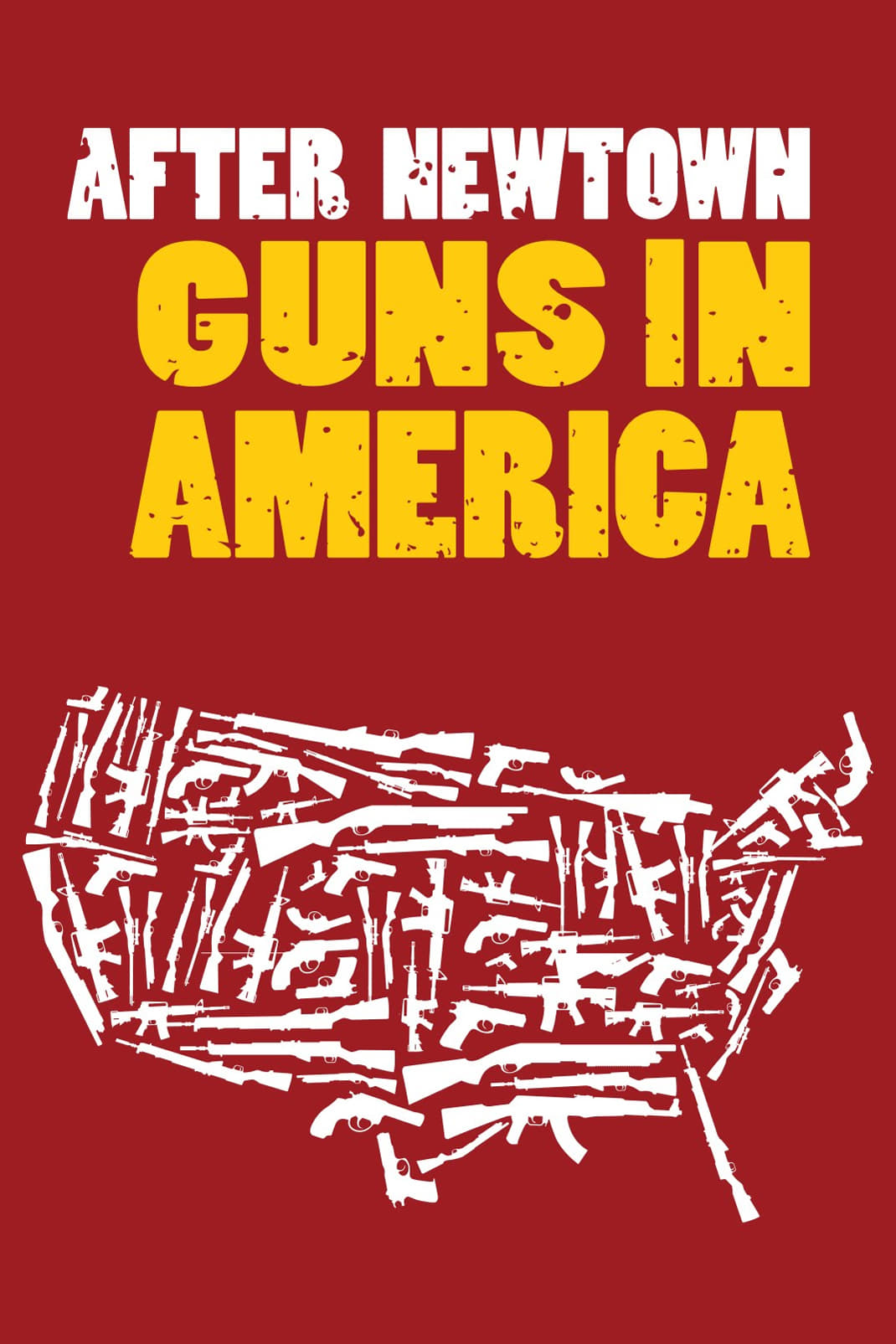 After Newtown: Guns in America (2013)
