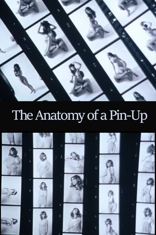The Anatomy of a Pin-Up
