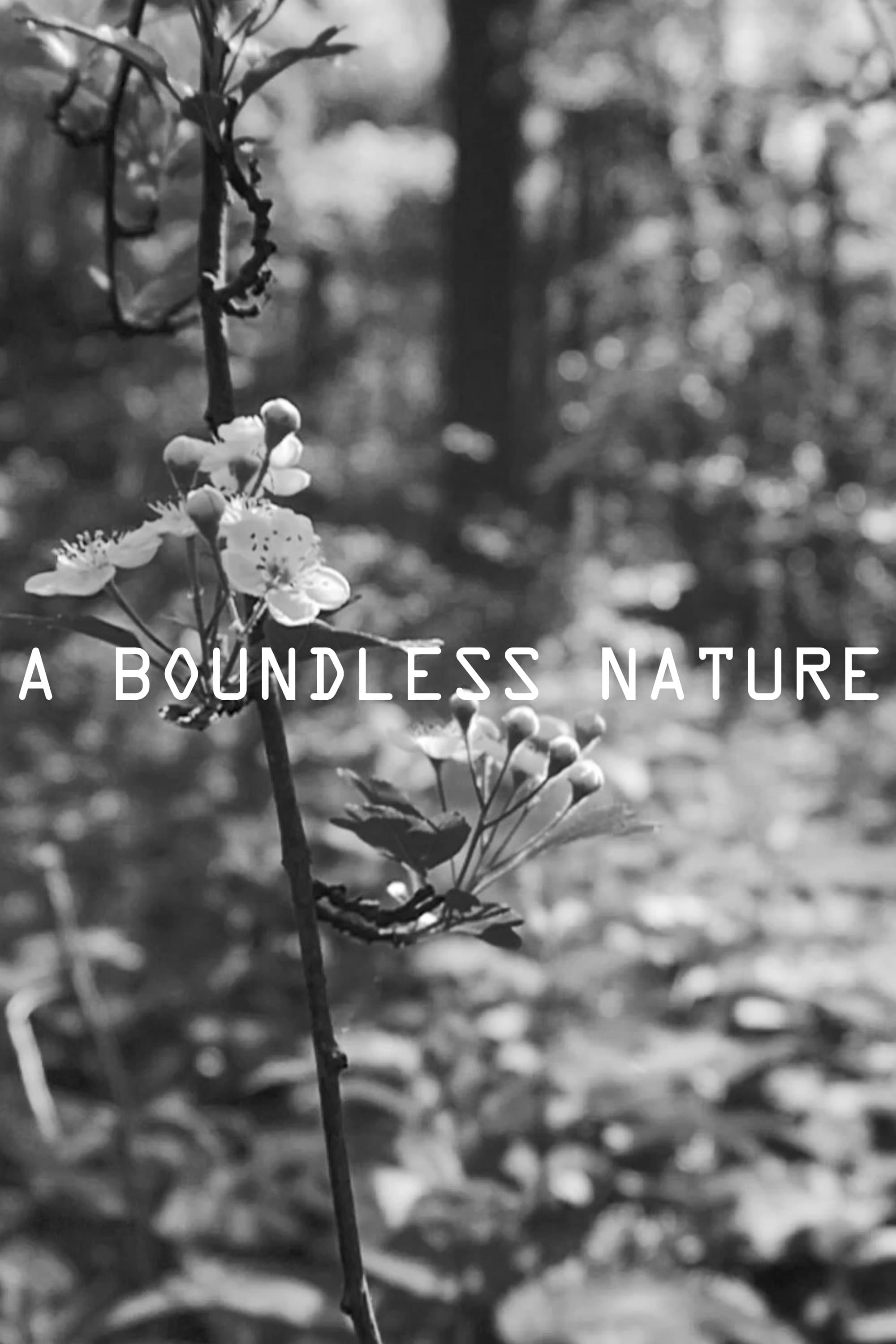 A Boundless Nature