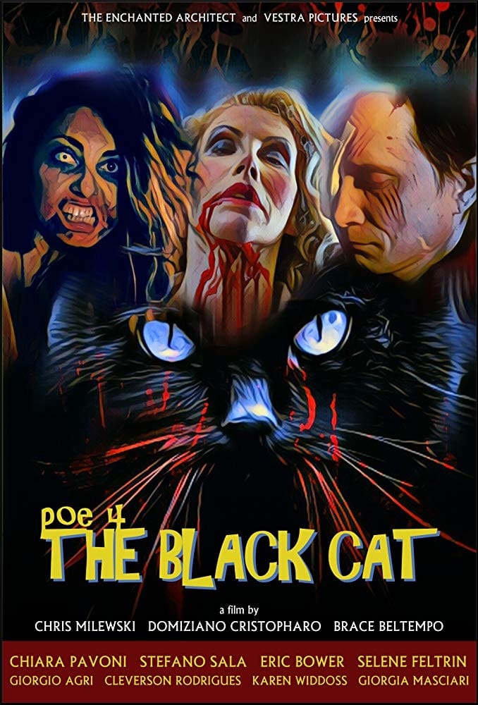 POE 4: The Black Cat