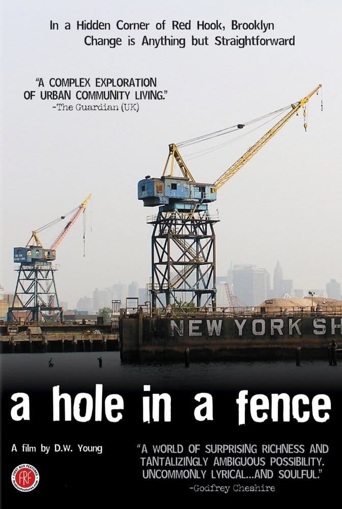 A Hole in a Fence (2008)
