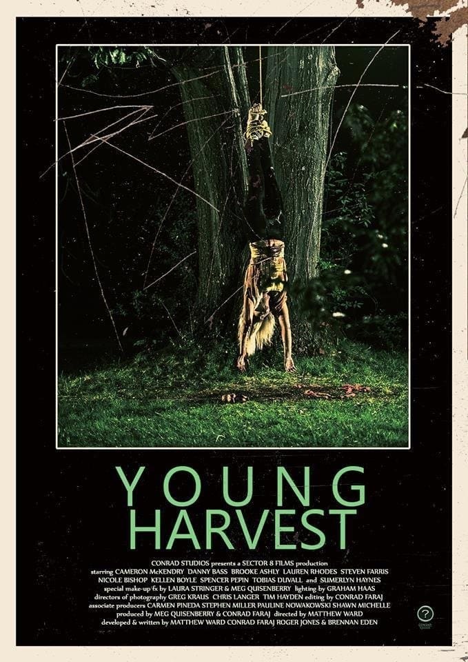 Young Harvest