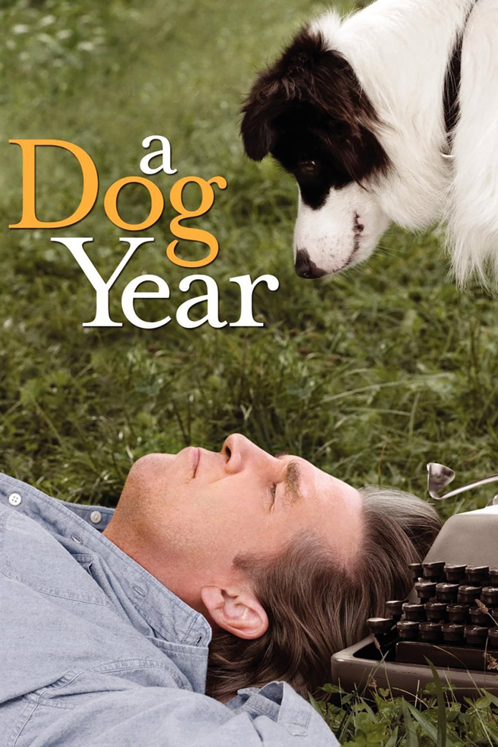 Um Ano do Cão (2009)